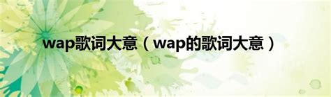 wap歌词大意（wap的歌词大意）_文财网