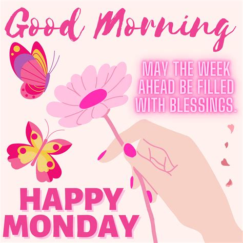 Hello Monday, Happy Monday, Good Morning Greetings, Good Morning Wishes ...
