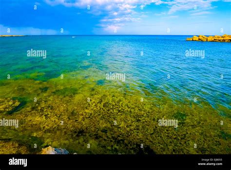 Sea Sky 的图像结果