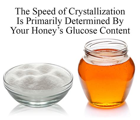 Why Does Honey Crystallize? – Galena Farms