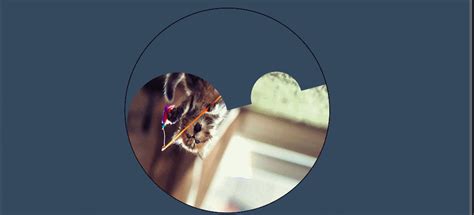 Image result for HTML Image Animation