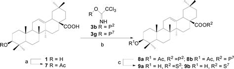 Facile Synthesis of Oleanolic Acid Monoglycosides and Diglycosides