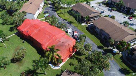 Termite and Pest Control Gallery | Cape Coral, FL | Dynamic Pest Control