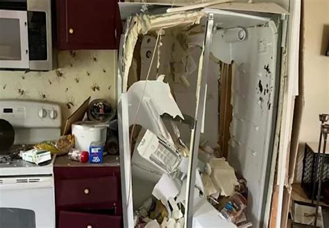 Image result for Exploding Fridge
