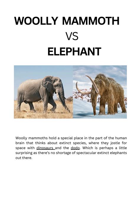 SOLUTION: Woolly mammoth vs elephant - Studypool