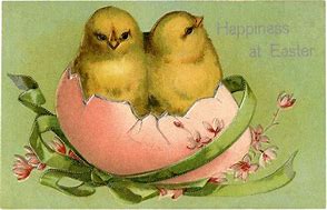 Image result for Easter Baby Rabbit Clip Art
