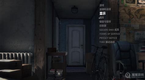 《古墓丽影10》设置中文教程-就想玩游戏网