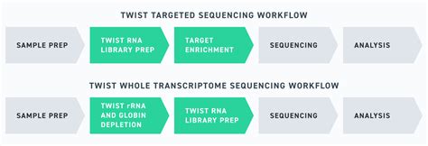 RNA Sequencing 的图像结果