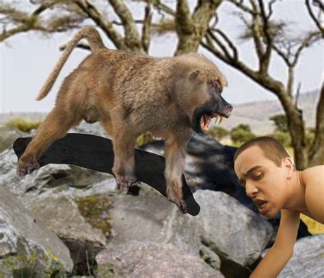 Image result for Baboon Vs Predator