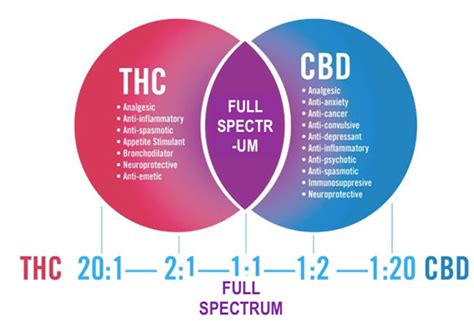 Medical Hemp Medicines | CBD Full FORM| VEDI