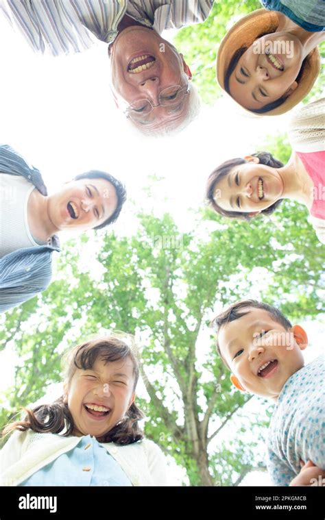 Image result for Three Generations