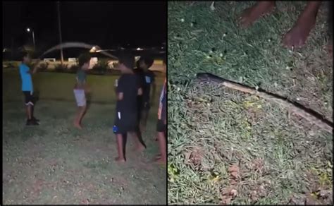 Viral Video Of Australian Kids Using A Dead Snake As A Skipping Rope ...