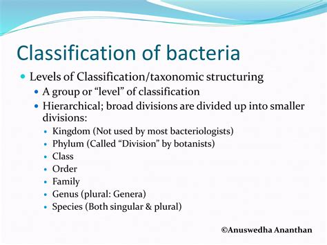 Image result for Types of Bacteria Classification
