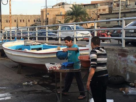 在黎巴嫩赛义达鱼摊打工的叙利亚男孩，月工资竟然只有这么一点！ - 每日头条