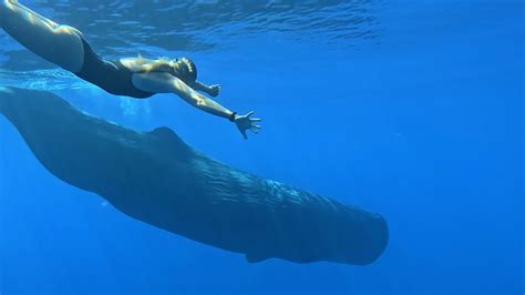 Behold! The World's Largest Animal: The Blue Whale! - Teen Kids News