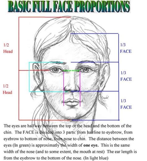 Image result for Face Proportion Drawing Lesson