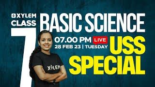 Image result for Xylem Class 7 Basic Science