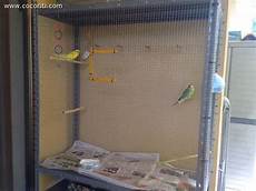 gabbie fai da te gabbia fatta in casa cocorite e pappagallini ondulati gabbie fai da te gabbia fatta in casa cocorite e pappagallini ondulati