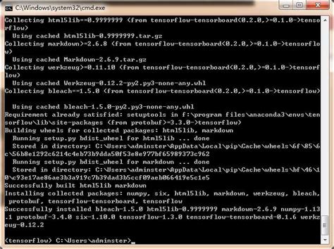 Tensorflow for Windows 的图像结果