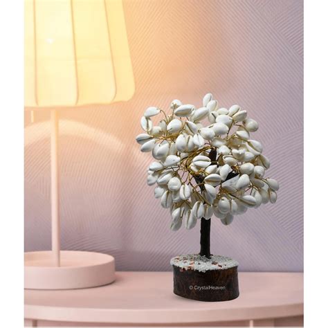 Natural Kaudi Tree - Premium Kauri Shell - Crystal Heaven