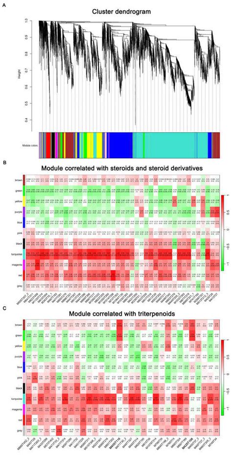 Transcriptome and Metabolome Reveal Accumulation of Key Metabolites ...