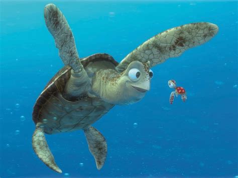 Finding Nemo Crush Age at Iva Niamh blog