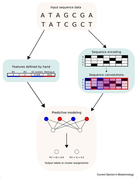 Image result for Machine Learning for Protein Engineering