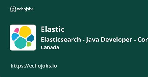 Image result for Java Developer Eis