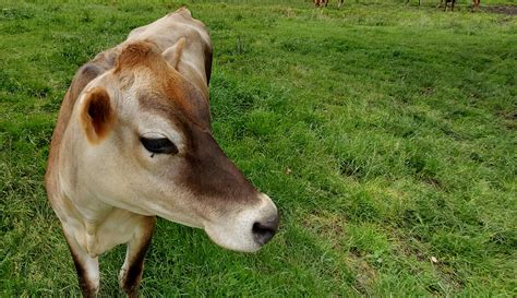 Lake Metroparks Farmpark | Ohio Traveler