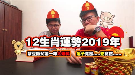 蔡豆师父福建班【12生肖之2019年的运势】#2019运势生肖 #兔今年 #蛇竟然 - YouTube