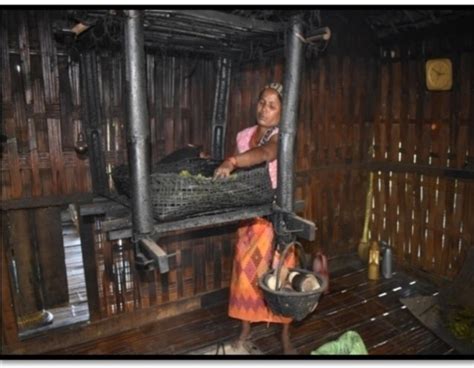 Livelihood Activities | Official Website of North East Centre for ...