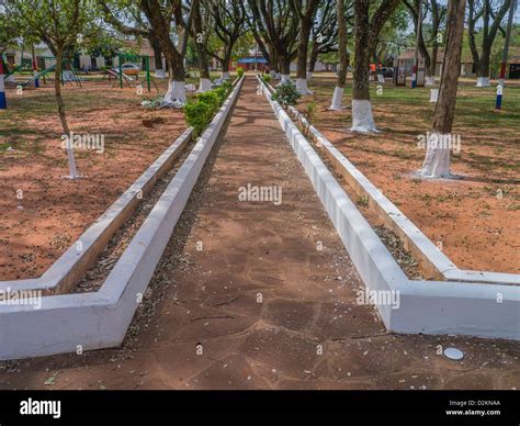 Trees and white painted curbs of pathways in the town square of Santa ...