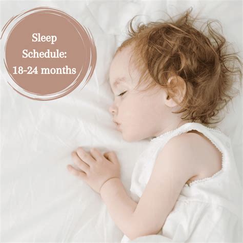 Nap schedules: 18 months-2 years - Amy Baby Sleep Coach