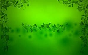 Image result for Green Colour Wallpaper for PC