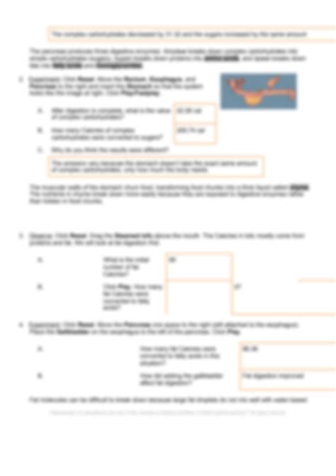 SOLUTION: Copy of digestive system gizmo student exploration sheet ...
