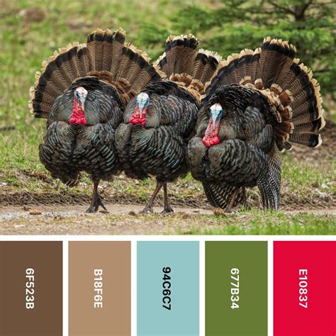 30 Thanksgiving Color Palettes for Rustic Designs | Color Meanings ...