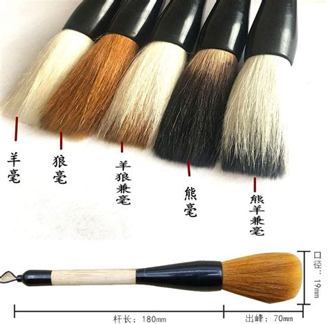 Hbasyp Chinese Traditional Calligraphy Brush/Chinese India | Ubuy
