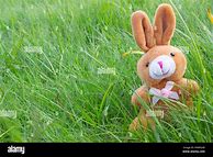 Image result for Rabbit Doll Sewing Pattern