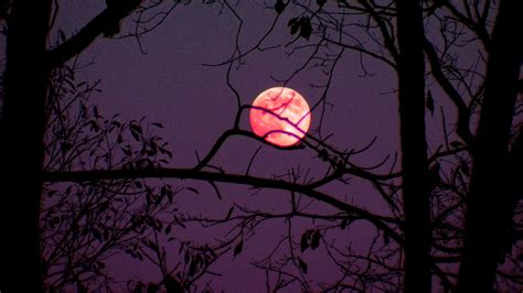 India prepares for a rare celestial event--A super, blood, blue Moon ...
