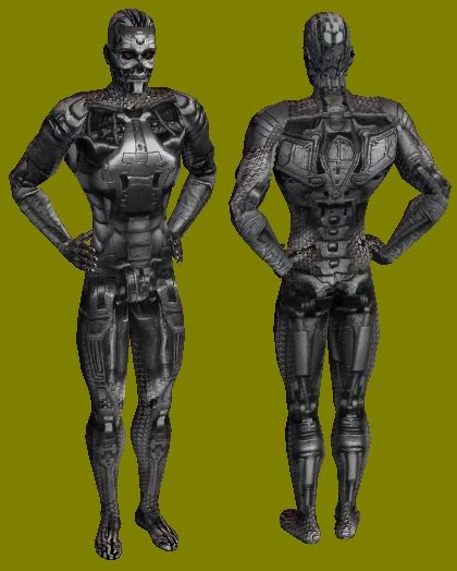 Image result for Sims Terminator Mod