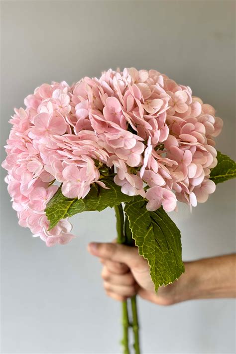 Artificial Flowers – Mason Home by Amarsons - Lifestyle & Decor