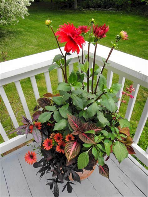 24 Full Sun Garden Plants Ideas To Try This Year | SharonSable
