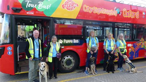 Guide dog puppies take training ride with Oxford Bus Company - The Oxford Magazine