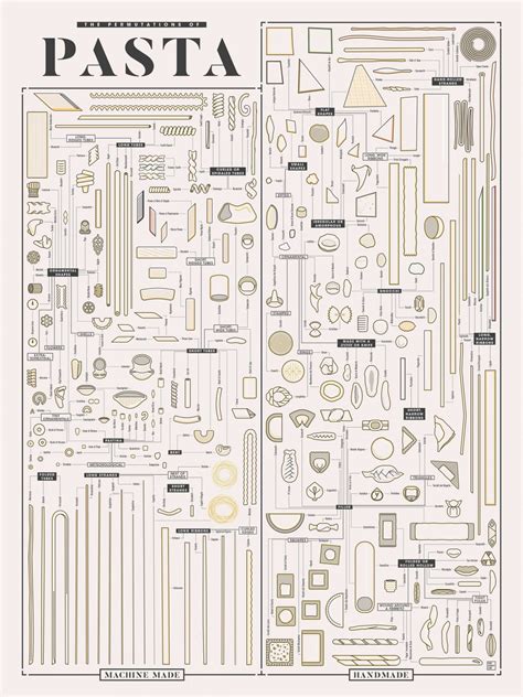 Different kinds of Pasta shapes Chart 18x28 inches Canvas Print