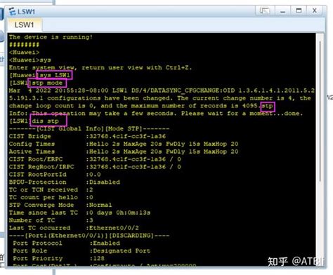 Using STP Packer 的图像结果