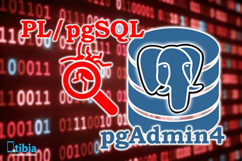 Image result for Type in PL Pgsql in Postgres Example
