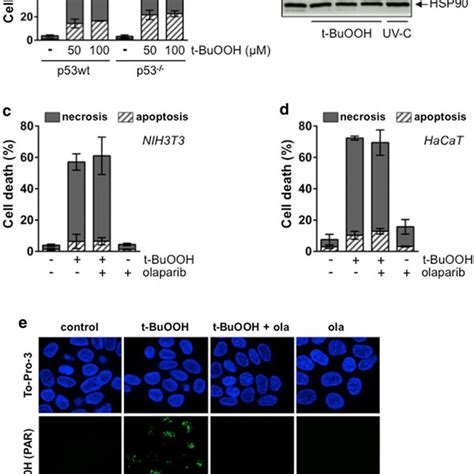 t-BuOOH induces ferroptosis. a–d Determination of cell death. NIH3T3 ...