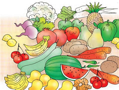 Summary Fun with Pictures - English for Class 1 (Mridang) PDF Download