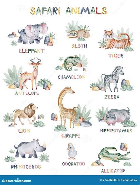 Jungles In Africa Names