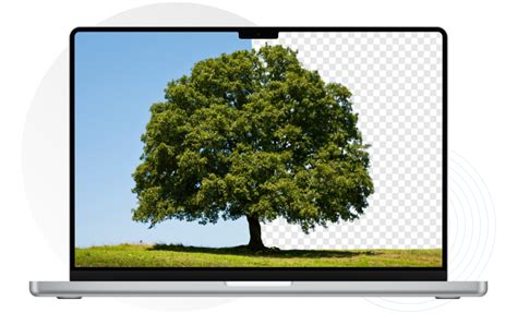 Image result for Remove Background for Free